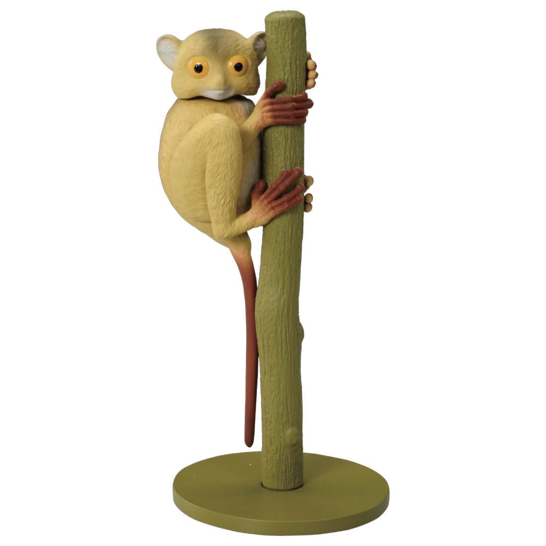 アニア AS-27 メガネザル ニシメガネザル タカラトミー 動物 おもちゃ プレゼント ギフトのサムネイル