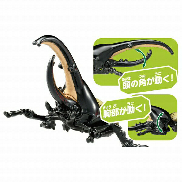 【ポイント最大29倍 ※要エントリー】アニア ...の紹介画像3