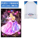 【ポイント最大30倍 ※要エントリー】266ピース ジグソーパズル + 専用パネルセット 恋する心の煌めき オーロラ DSG-266-965 テンヨー ディズニ...