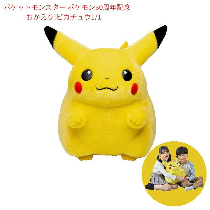 楽天市場】おかえり!ピカチュウ1/1の通販