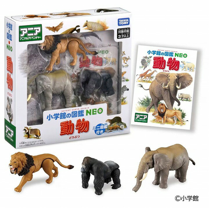 製品画像：27位