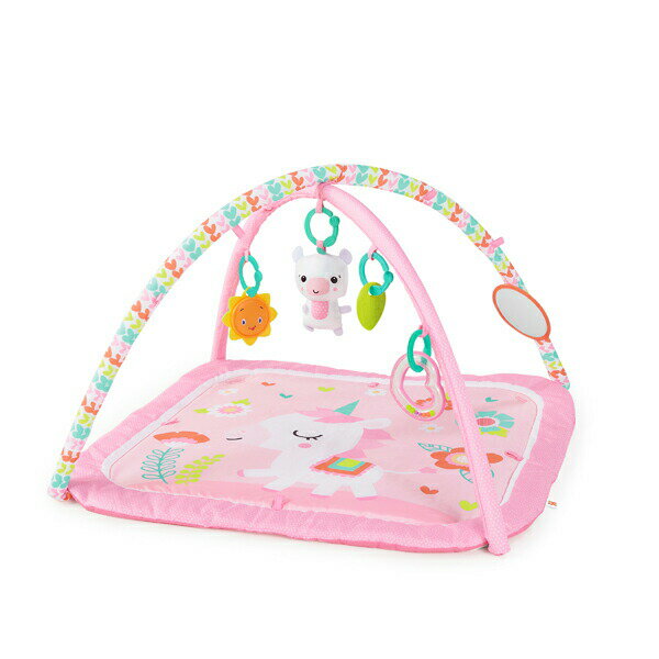 Kids II Japan ディドリームブルームス・アクティビティジム 12541 プレイマット ベビージム おもちゃ 玩具 赤ちゃん プレゼント ギフト 2
