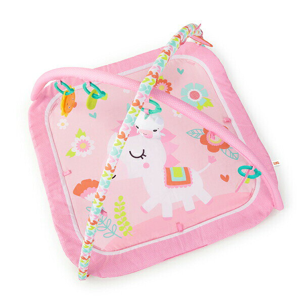 Kids II Japan ディドリームブルームス・アクティビティジム 12541 プレイマット ベビージム おもちゃ 玩具 赤ちゃん プレゼント ギフト 3