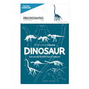 メール便送料無料 段ボール おもちゃ ハコモ 恐竜 ブラキオサウルス ブルー 5000 Dinosaur ダンボール工作 ペーパークラフト 知育 子供 プレゼント ギフト 3