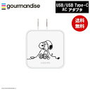 【ポイント最大30倍 ※要エントリー】メール便送料無料 スヌーピー USB/USB Type-C ACアダプタ SNG-718A ピーナッツ グルマンディーズ ...