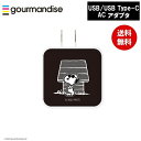 【ポイント最大30倍 ※要エントリー】メール便送料無料 ジョー クール USB/USB Type-C ACアダプタ SNG-718B ピーナッツ グルマンディー...