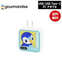 メール便送料無料 ポケモン ポッチャマ USB/USB Type-C ACアダプタ POKE-815D ポケットモンスター グルマンディーズ 電源タップ ACタップ コンセント スマートフォン スマホ AC充電器 ACプラグ 収納 携帯グッズ かわいい おしゃれ