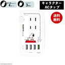 【ポイント最大29倍 ※要エントリー】メール便送料無料 ピーナッツ ACタップ Type-C USBポート付き SNG-755A タイプライター スヌーピー キ...