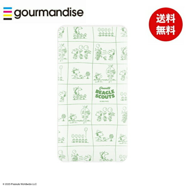 【ポイント最大29倍 ※要エントリー】メール便送料無料 モバイルバッテリー ピーナッツUSB/USB Type-C 4000mAhリチウムイオンポリマー充電器2...