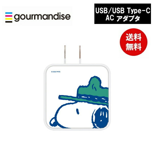 メール便送料無料 ピーナッツUSB/USB Type-C ACアダプタ フェイス SNGG-26A スヌーピー グルマンディーズ 電源タップ ACタップ コンセント スマホ ACアダプタ AC充電器 ACプラグ USB 充電 持ち運び 収納 携帯グッズ プレゼント ギフト