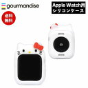 メール便送料無料 サンリオキャラクターズ Apple Watch 41 40mm対応 シリコンケース ハローキティ SANG-232KT グルマンディーズ カバ...