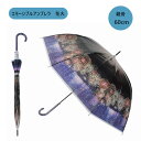 エモーシブル 長傘 60cm アンブレラ 花火 Firewark JK-167-03 ジャンプ式 雨傘 女性用 サントス おしゃれ かわいい プレゼント ギフト