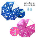 【ポイント最大29倍 ※要エントリー】長傘 colorchange umbrella 6747699 003 M 01 おしゃれ かわいい プレゼント ギフト ...