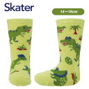 メール便送料無料 スケーター ソックス ディノサウルス SOX2 14〜16cm くつした 靴下 子供用 キッズ ギフト プレゼント