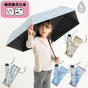晴雨兼用 折りたたみ 日傘 55cm 6753611 カサ かさ 雨傘 日傘 おしゃれ かわいい 遮熱 遮光 紫外線カット UV-CUT プレゼント ギフト