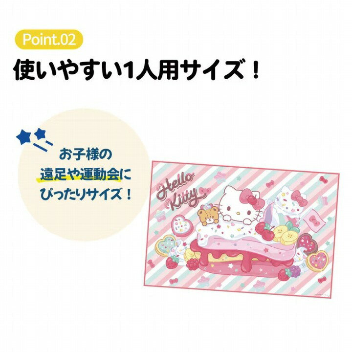 【ポイント最大29.5倍 ※要エントリー】メール便発送 スケーター レジャーシート VS...