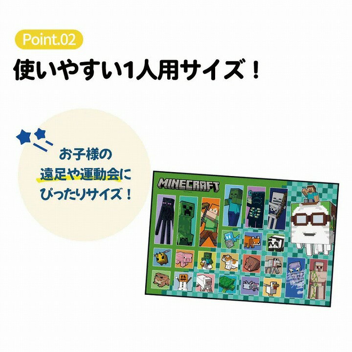 メール便発送 スケーター レジャーシート S VS1 ラプンツェル ディズニー Disney コンパクト 一人用 ビニール 防水 薄手 かわいい プレゼント ギフト Skater