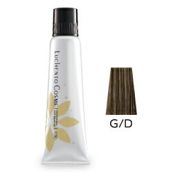 [おまけ付　イヤーキャップ2枚] フォードヘア化粧品 ルーチェントコスメ ゴールドブラウン ダーク G/D 150g(ヘアマニキュア)