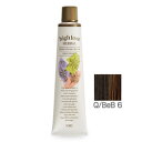フォードヘア化粧品 ハイトーンハーバル Q/BeB 6(クイックベージュブラウン)120g(医薬部外品)