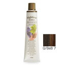 フォードヘア化粧品 ハイトーンハーバル Q/BeB 7(クイックベージュブラウン)120g(医薬部外品)