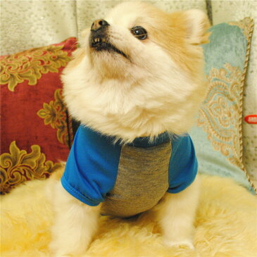 送料無料 ペットウェア ドッグウエア Tシャツ 半袖 ペット用 犬用 猫用 犬の服 洋服 カットソー 英字プリント ラグラン袖 ハート おしゃれ 可愛い かわいい ドッグウェア キャットウェア 小型犬 イヌ用 いぬ用 ネコ用 ねこ用 英語 アルファベット
