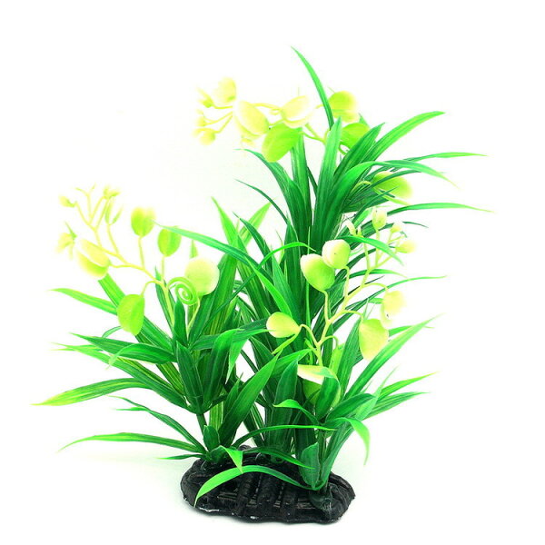 メダカ 水草 レイアウト みんな探してる人気モノ メダカ 水草 レイアウト ペット ペットグッズ メダカ 水草 レイアウト みんな探してる人気モノ メダカ 水草 レイアウト ペット ペットグッズ