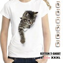 送料無料トップス レディース メンズ Tシャツ ティーシャツ...