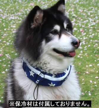 送料無料犬用首クール ネッククール 犬 イヌ ワンちゃん ペット用 ネッククーラー COOLスカーフ 防水 暑さ対策 熱中症予防 首に巻くだけ クールダウン 首冷やす 冷える 冷たい 簡単 便利 ジッパー ファスナー開閉 おしゃれ かわいい 散歩 お出掛