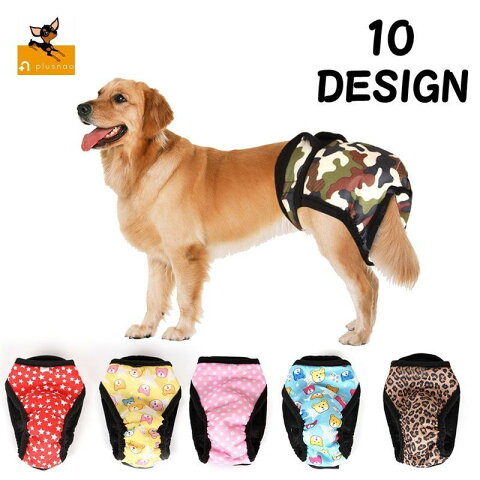 大型犬 おむつ ともに輝く明日のために 大型犬 おむつ ともに輝く明日のために