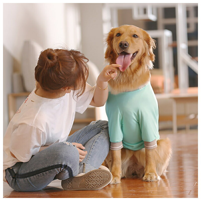 送料無料ペット服 犬服 ドッグウェア 夏服 大型犬 半袖 ゴールデンレトリバー ハスキー かわいい スポーツウェア 背番号 23 3XL 4XL 5XL 6XL 7XL