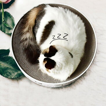 送料無料 猫用 爪とぎ 爪磨き 爪研ぎ 爪みがき ダンボール ネコ ねこ ペット用品 お手入れ用品 おもちゃ 遊び場 ストレス解消 休憩 円形 可愛い