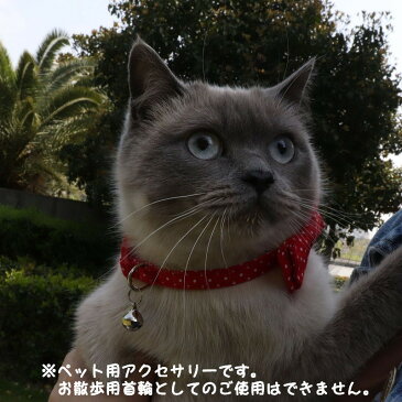 送料無料 猫用首輪 カラー ドット 水玉 リボン 蝶ネクタイ 鈴 調節可 CAT 愛猫 首飾り アクセサリー おしゃれ おめかし ペット用品 猫グッズ