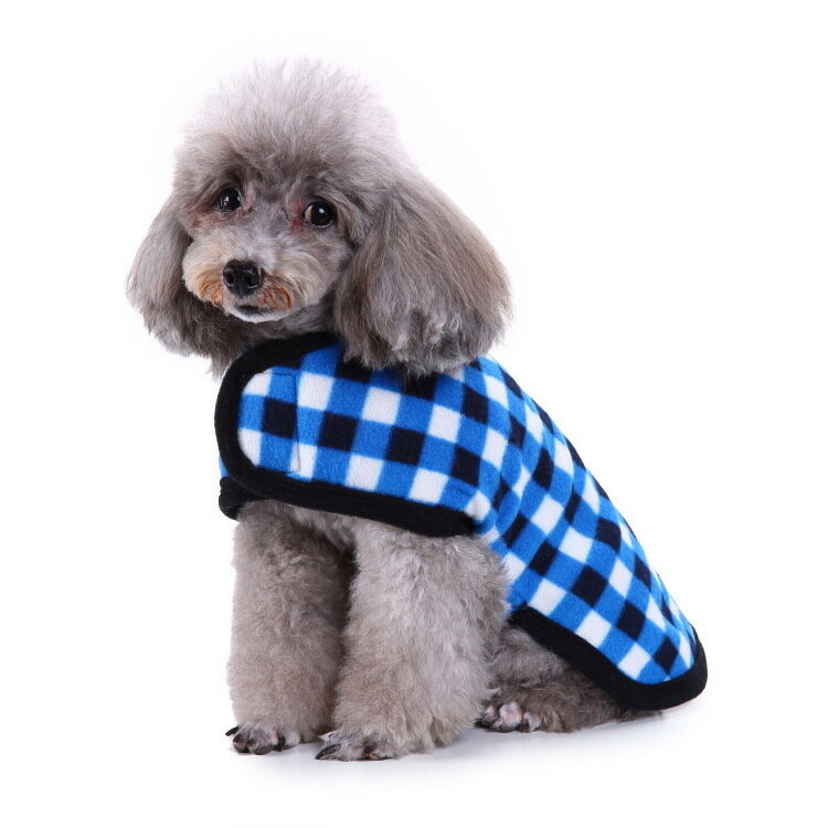 ����̵�� �ɥå������� �ڥå��� ���� ������ �ݥ���� ΢���� �ե꡼�� ���襤�� ������� ���ä��� �Ȥ��� �ɴ� ���Ф��� ������ ������ �淿�� ǭ�� ����å� �����å� �ܡ����� ��å� �֥롼 �ԥ�