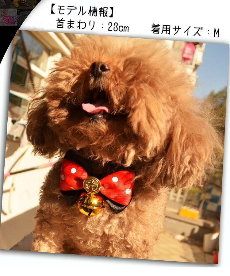 送料無料 ペット用チョーカー 首輪 小型犬 大型犬 イヌ ネコ ペットグッズ ペット...