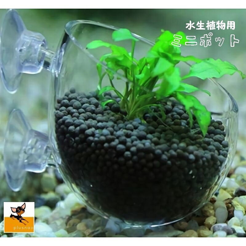 水生植物用ポットが水槽内をかわいらしく彩ります。 【セット内容】ポット本体×1コ、吸盤×2コ 　※その他は商品に含まれておりません。 【サイズについて】 画像をご参照ください。 【カラーについて】 生産ロットにより柄の出方や色の濃淡が多少異なる場合がございます。 お使いのモニターや撮影時の光の加減などにより 画像と実際の商品のカラーが若干異なる場合もございます。 【サイズについて】 測り方により誤差が生じる場合がございます。 同じサイズでもカラーやデザインによって大きさが異なる場合もございます。 【衣類・バッグ等、縫製品について】 海外製品の為、縫製基準が日本と異なるケースもあることから 縫製が甘い・雑・糸の始末ができていない等が見受けられる場合もございます。 ※上記理由による返品、交換はお断りする場合がございます※ 【素材について】 ガラス