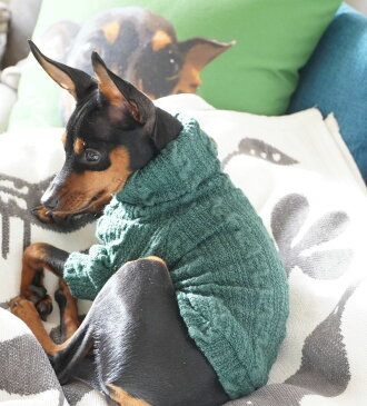 送料無料ペットウエア ケーブルニット セーター 犬 猫 小型犬 タートルネック ハイネック 袖あり 秋 冬 防寒 単色 シンプル ベーシック ドッグウエア キャットウエア ベージュ グリーン ブラック オレンジ イエロー