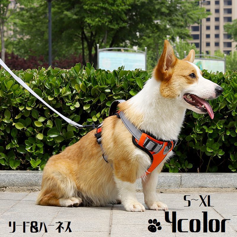 シンプルなデザインの犬用のハーネスとリードの2点セットです♪ 調節ができるので、犬の大きさに合わせてフィットさせることができます。 4種類のカラーバリエーション。 愛犬とのお散歩の時間が楽しみになりますね♪ 【サイズについて】 画像をご参照ください。 【素材について】 ポリエステル