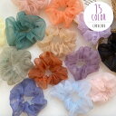 送料無料 シュシュ レディース 女性 ファッション小物 ヘアアクセサリー ヘアゴム まとめ髪 髪飾り ヘアアレンジ メッシュ シアー 透け感 単色 無地 シンプル おしゃれ かわいい ガーリー フェミニン 上品 定番 カラフル お出かけ オフィス カラバリ豊富 紫 黒 灰 橙 黄 青