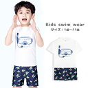 送料無料 水着 セットアップ キッズ キッズ 男の子 Tシャツ 半袖 短パン ハーフパンツ 袖あり 白 スイムウェア 上下セット 恐竜 柄 おしゃれ かわいい 幼児 小学生 保育園 幼稚園 ボーイ 女の子 プリント シンプル 夏 プール 旅行 リゾート