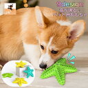 送料無料 ペット用おもちゃ 噛むおもちゃ ラバートイ 犬用 玩具 音が鳴る 音が出る ストレス解消 ヒトデ ラグビー サボテン ペット用品 おもちゃ オモチャ ...