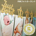 送料無料 ガーランド ベビー 赤ちゃん 新生児 月齢 バースデー 誕生日 記念日 記念写真 フォト 飾り付け 出産祝い 1歳 パーティー