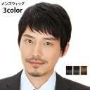 送料無料 メンズウィッグ かつら フルウィッグ ヘアウィッグ 男性用 全頭 ショートヘア 短髪 ストレート おしゃれ かっこいい 裏ネット サイズ調節可 ブラック ブラウン ナチュラル