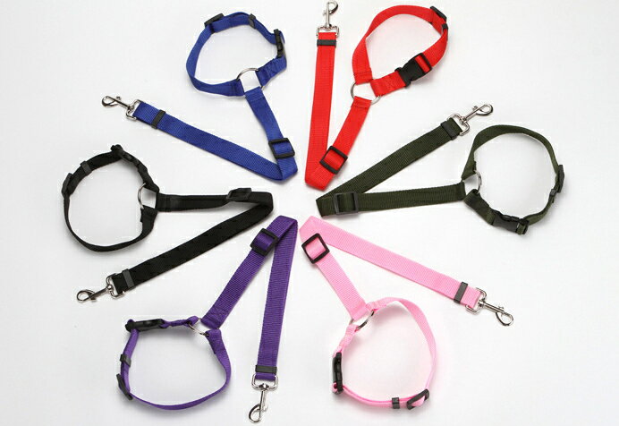 ����̵�� �ڥå��ѥ����ȥ٥�� �꡼�� 2way �إåɥ쥹�� �������� ���� �ڥå����� �ɥ饤�� �����ȥɥ� �� �ɥå� ����ɳ �꡼���� �ʥ����� ̵�� ���Ф��� ι�� �եå� Ĺ��Ĵ���ǽ �������� ��ñ ����