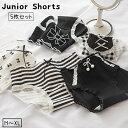 送料無料 ショーツ 5枚セット パンツ ジュニア 子供用 キッズ インナー 下着 リボン ボーダー しましま サクランボ レース チェック フリル レギュラーシ...