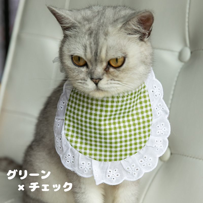 ����̵�� �ڥå��ѥ����� ����줫�� �ӥ� �ڥåȥ��å� �ڥåȥ��������꡼ ����åȥ����� �ɥå������� ǭ �� �졼�� ����Х�˭�� ���襤��
