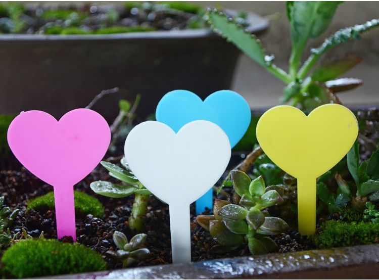 ����̵�� ����ѥ�٥� 20�ĥ��å� �����ǥ˥����� ������� ��ʪ�ѥ��� �ϡ��ȷ� �͡���ץ졼�� �ե���٥� �͡��ॿ�� �����ǥ� �����ڱ� ���� ȭ���� �� �� ��� �ϡ��� ���襤�� �������