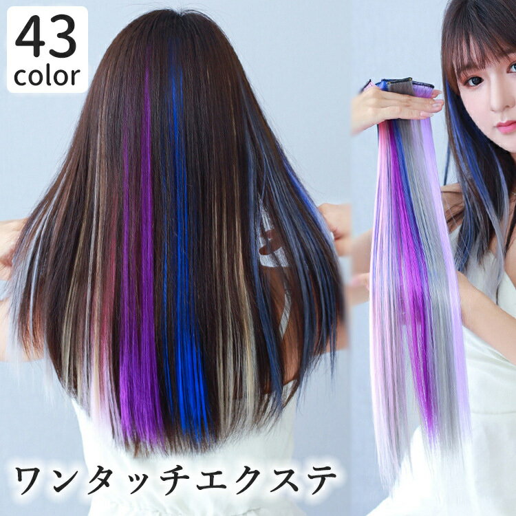 送料無料 ワンタッチエクステ メッシュ レディース 女性 ヘアアクセサリー ロング ストレート カラフル つけ毛 ヘアアレンジ おしゃれ