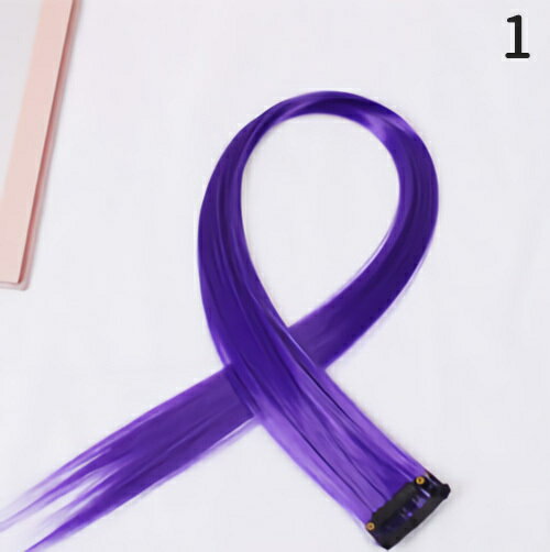 送料無料 ワンタッチエクステ メッシュ レディース 女性 ヘアアクセサリー ロング ストレート カラフル つけ毛 ヘアアレンジ おしゃれ