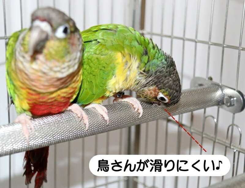 送料無料 鳥用止まり木 とまり木 単品 1個 ケージ用 円筒型 合金製 休憩 オウム イ...