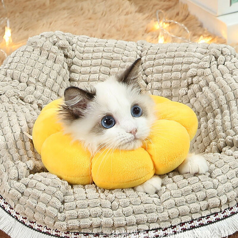 送料無料 エリザベスカラー ペット用品 犬用品 猫用品 ペットグッズ クッション 柔...